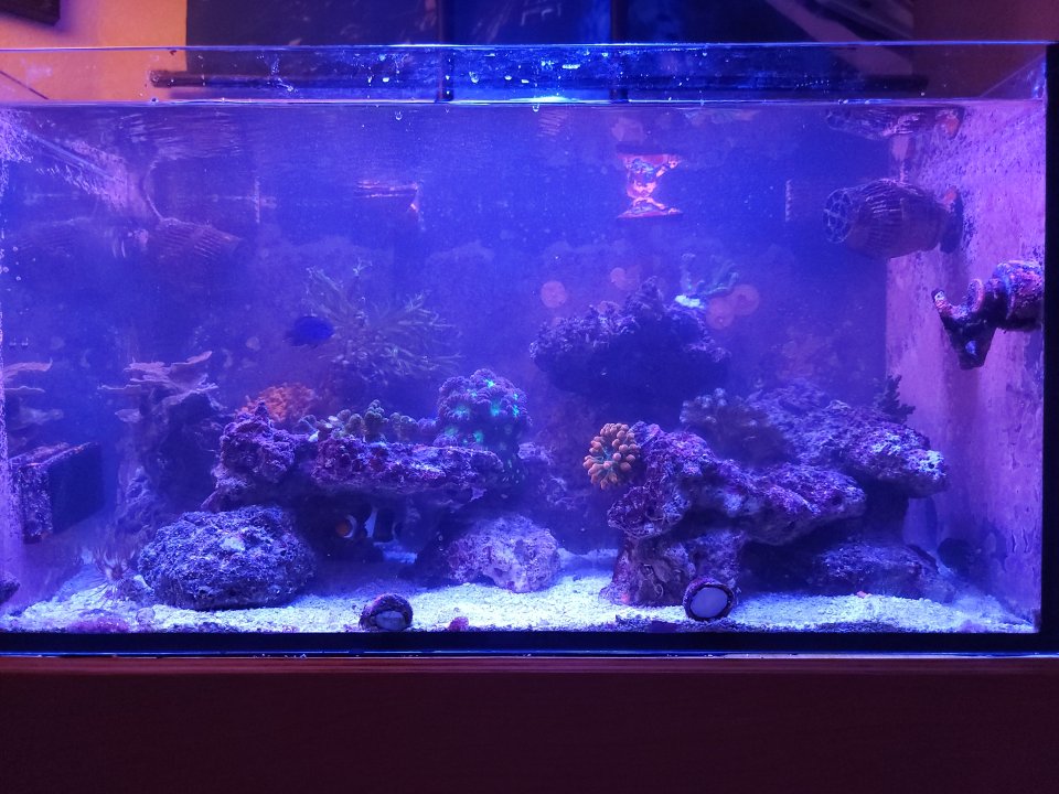 20220319_203152.jpg