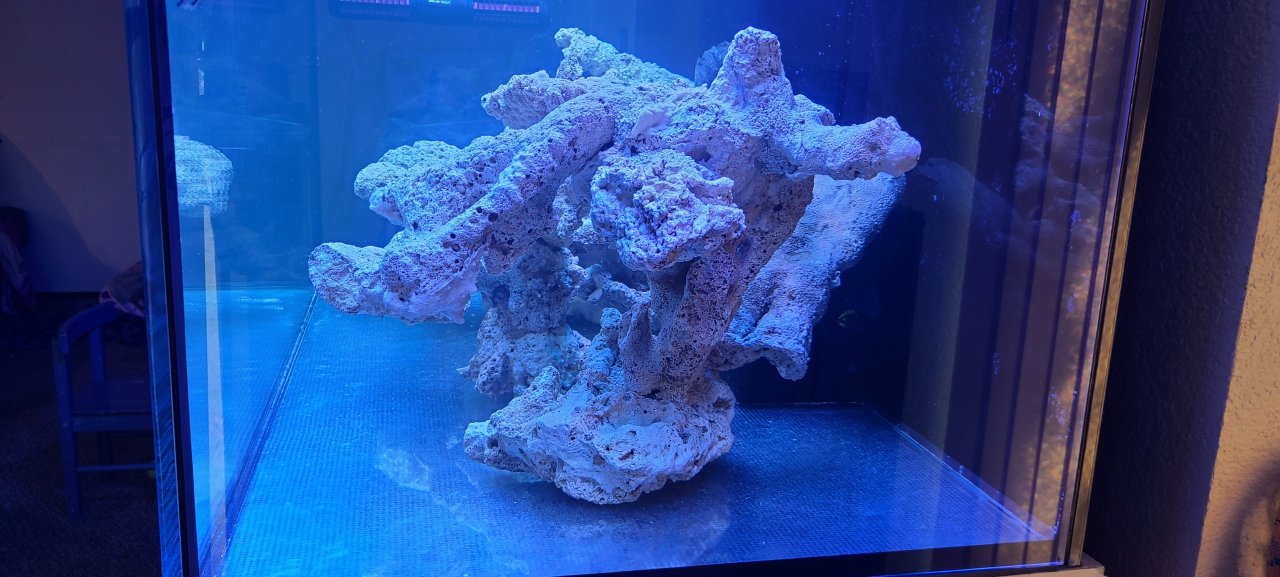 20220322_163041.jpg