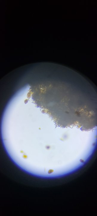 20220326_163828.jpg