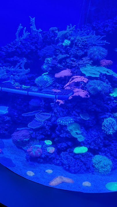 20220403_170735.jpg