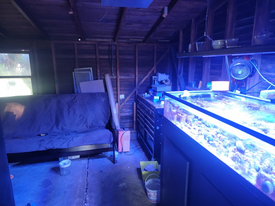 20220411_180348.jpg