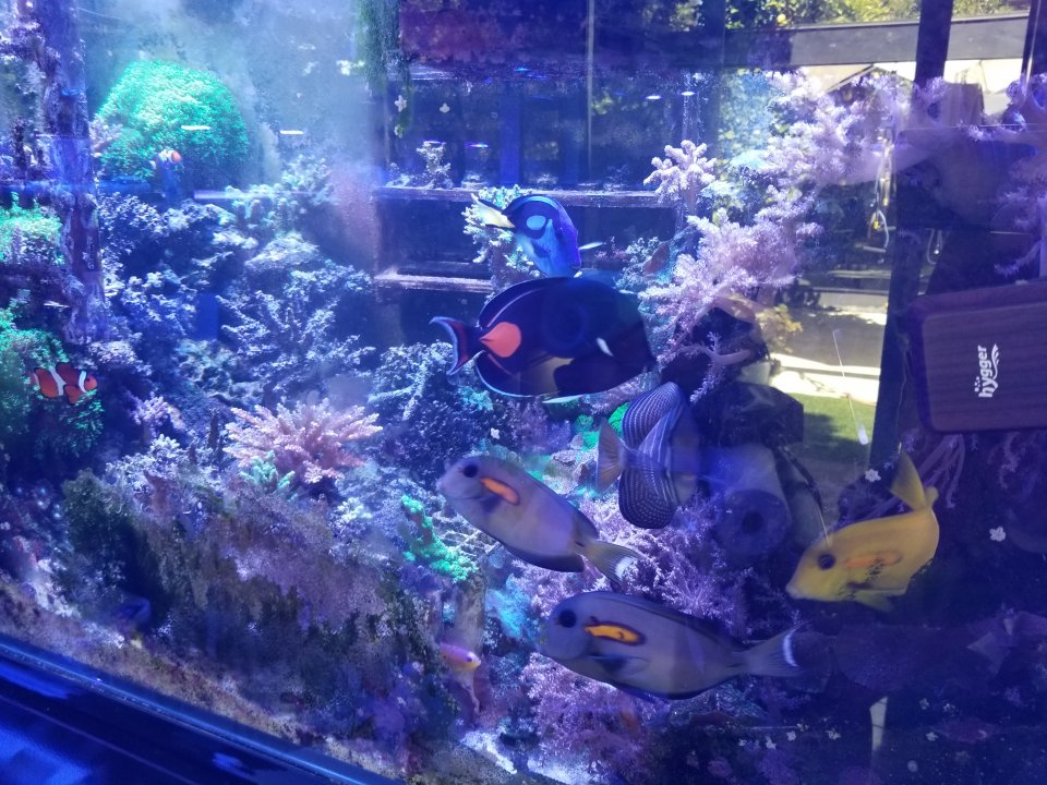 20220508_143703.jpg
