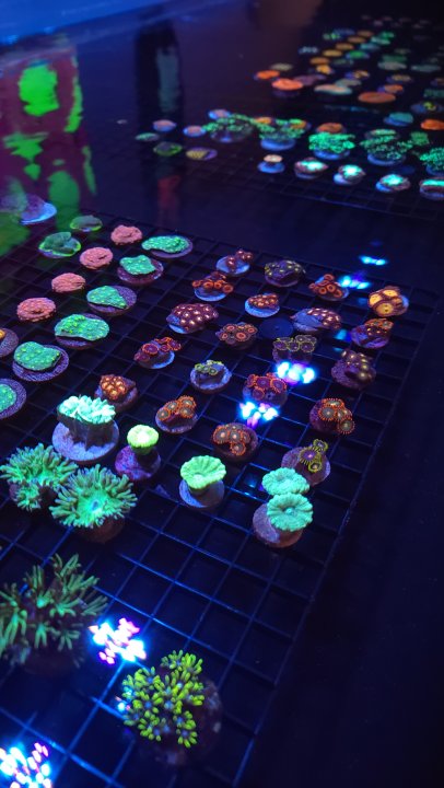 20220508_181513.jpg