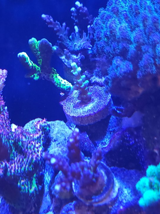 20220514_095417.jpg