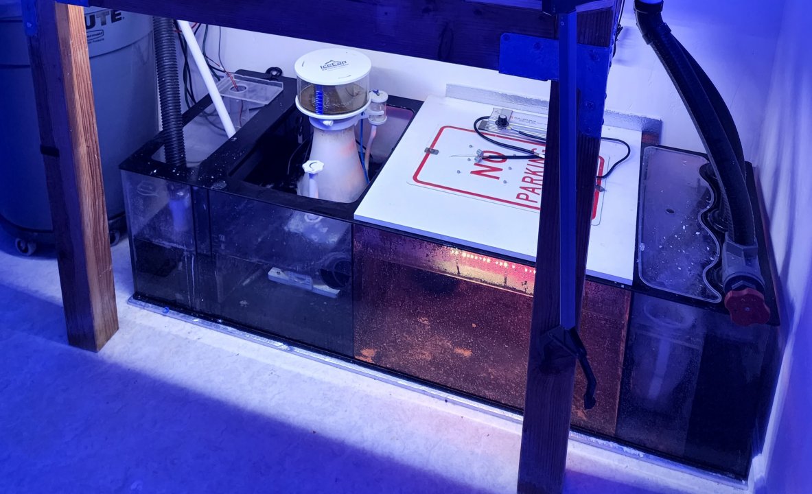 20220518_200958.jpg