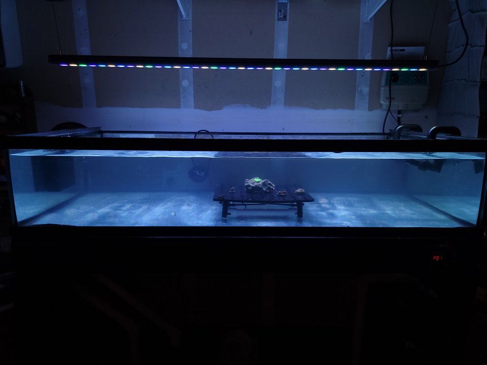 20220518_211528.jpg