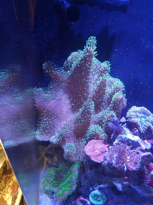 20220519_182234.jpg