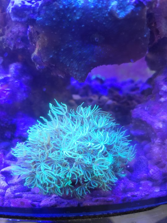 20220528_105826.jpg