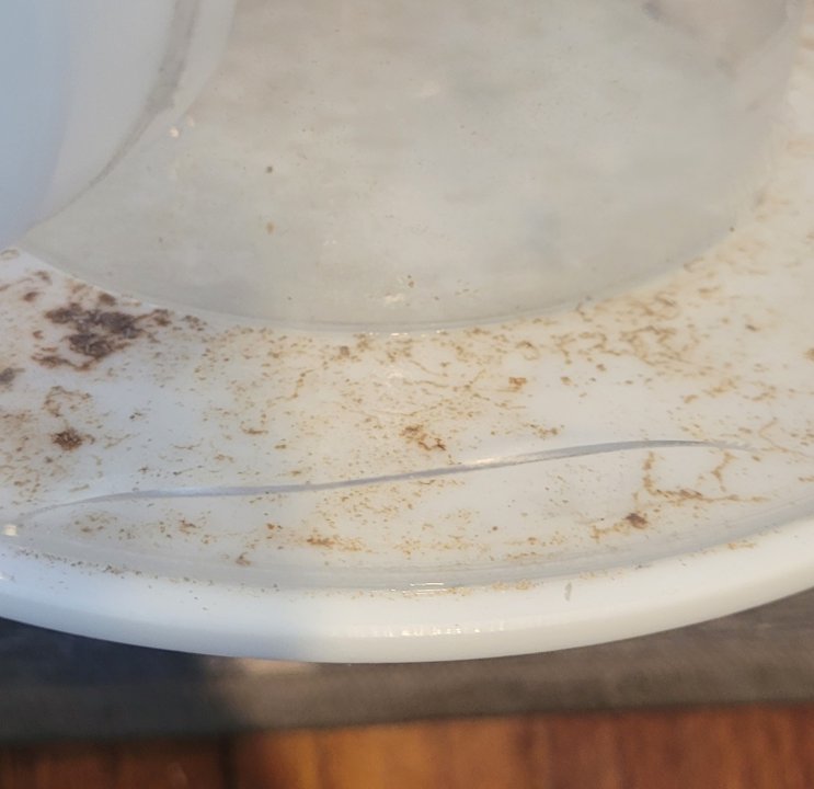 20220528_171424.jpg