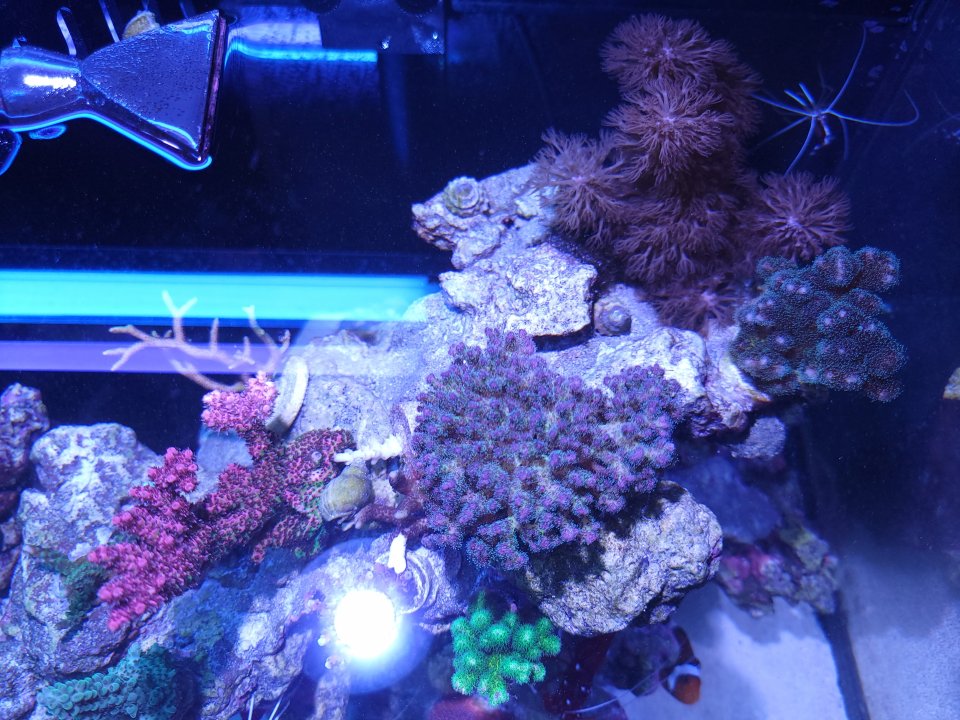 20220601_191057.jpg