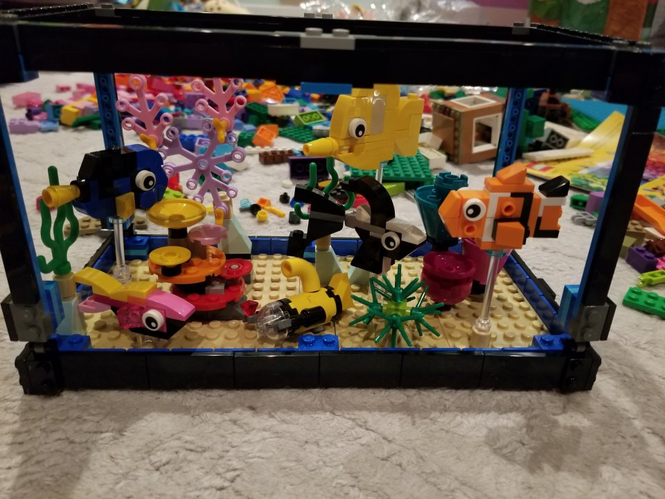 20220608_221209.jpg