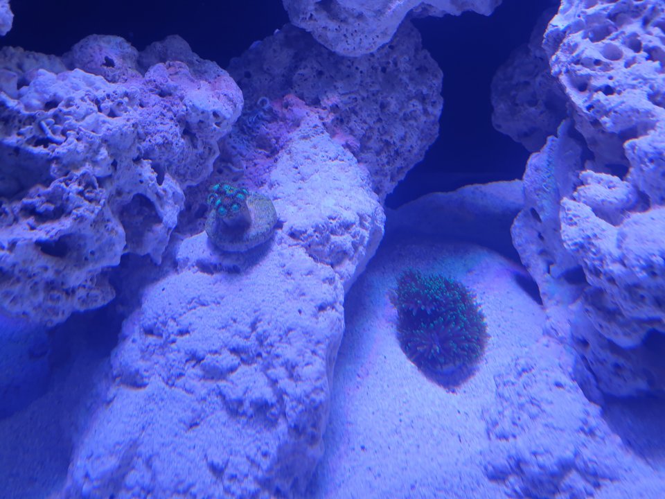 20220612_093348.jpg