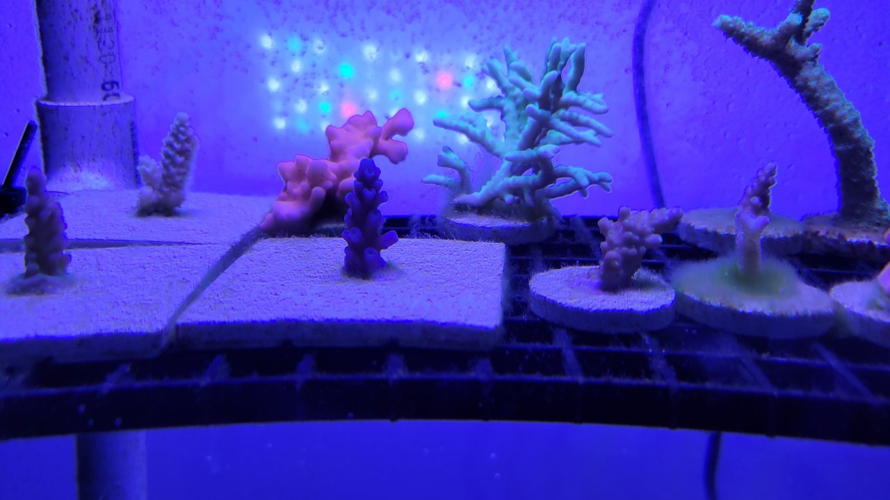 20220617_180833.jpg