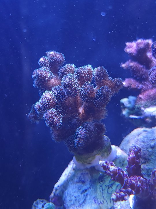 20220618_122342.jpg