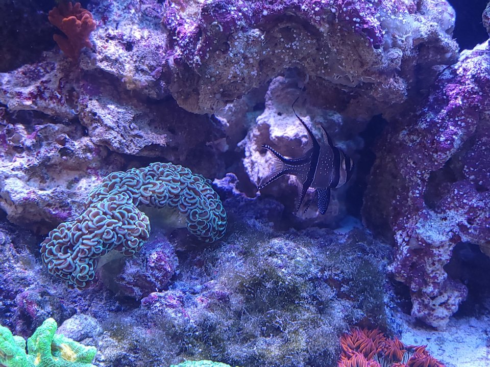 20220618_123427.jpg