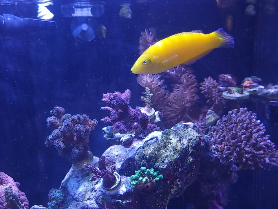 20220618_123453.jpg