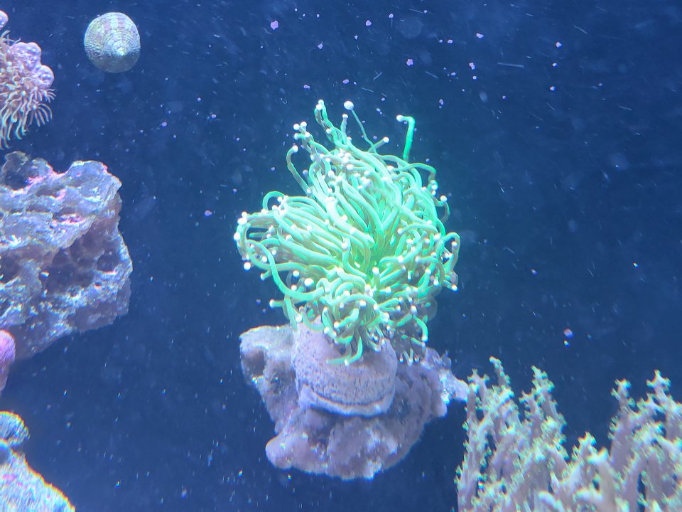 20220620_162630.jpg