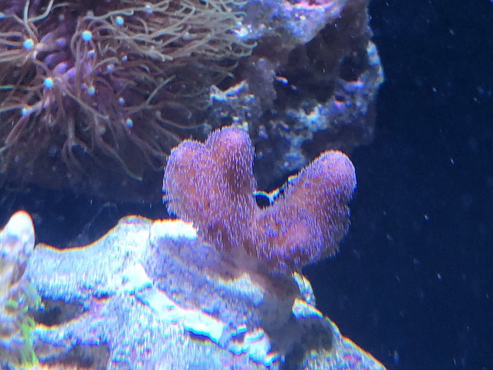 20220620_162637.jpg