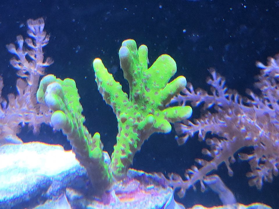 20220620_162642.jpg