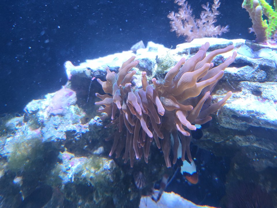 20220620_162651.jpg
