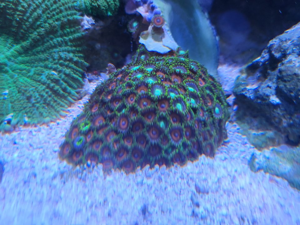 20220620_162703.jpg