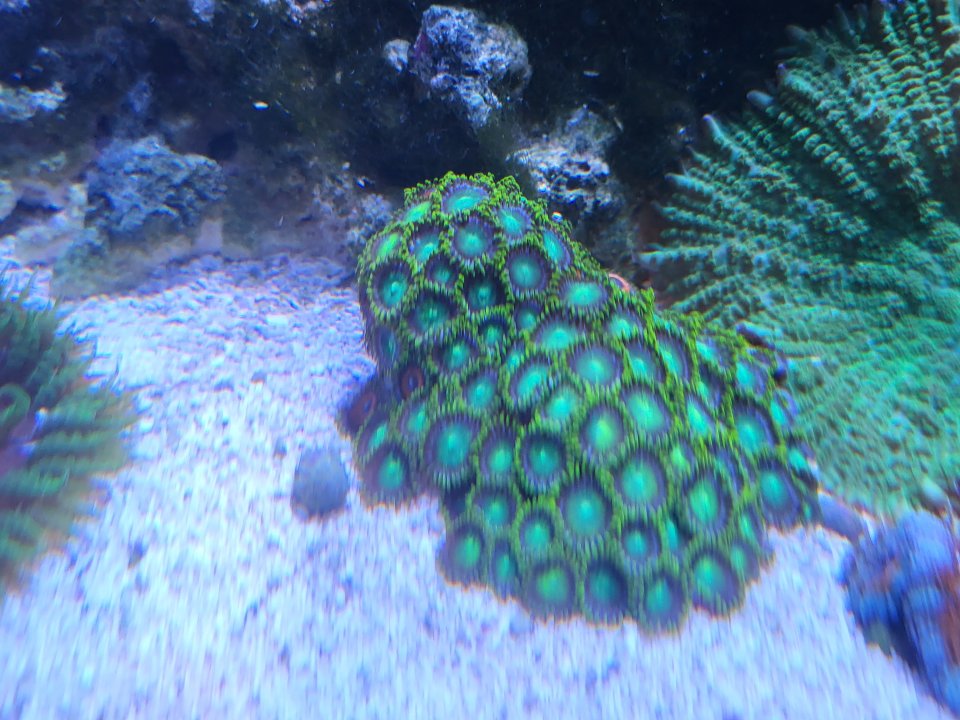 20220620_162707.jpg