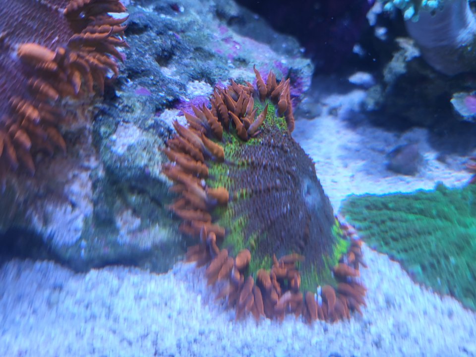 20220620_162735.jpg