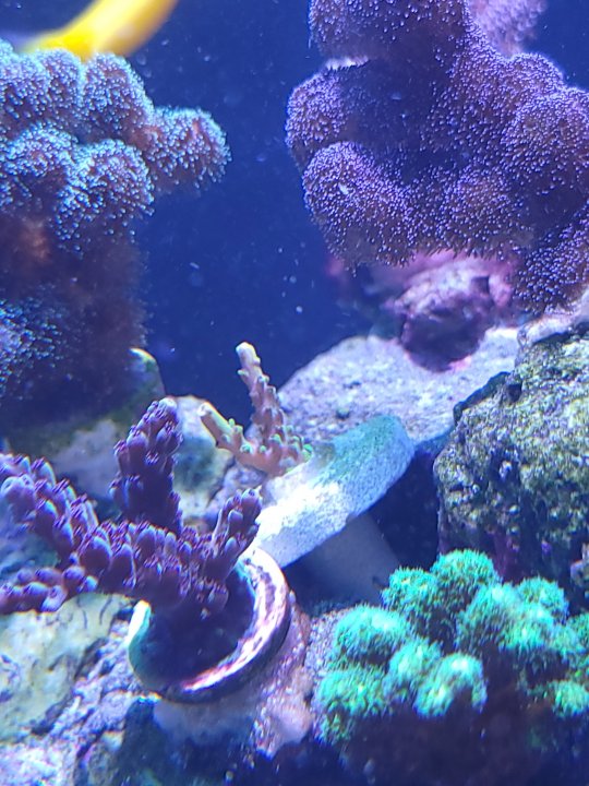 20220702_104321.jpg