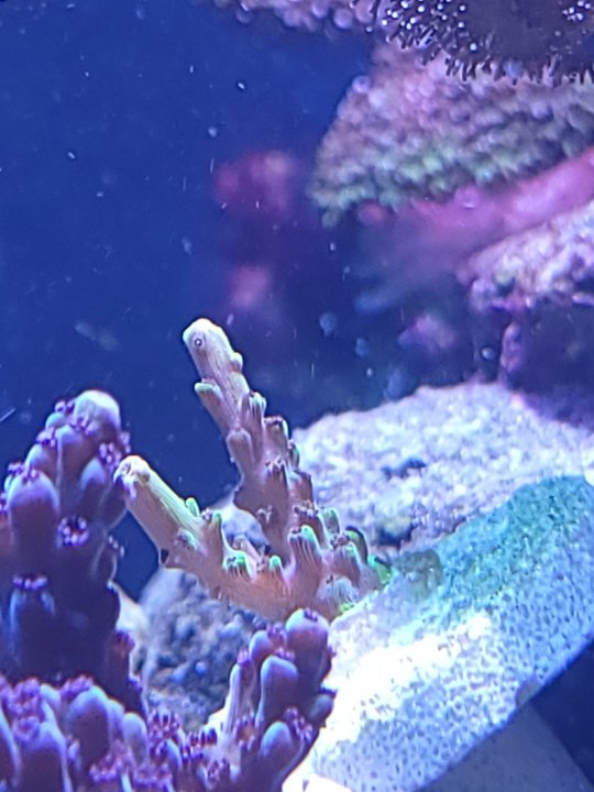 20220702_104341.jpg