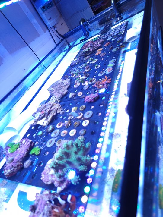 20220704_103816.jpg