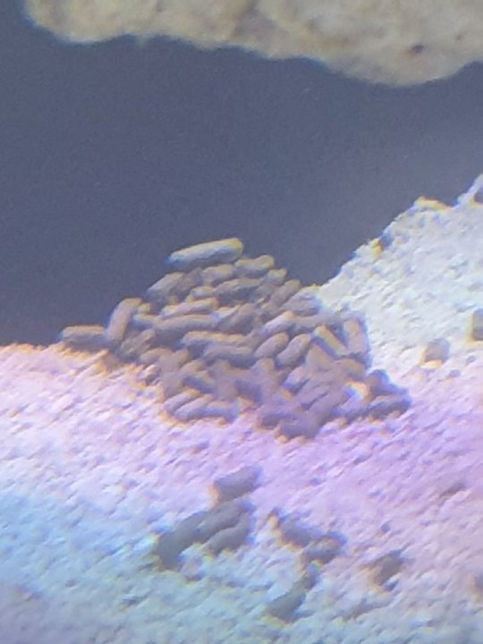 20220705_125835.jpg