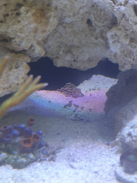 20220705_125841.jpg