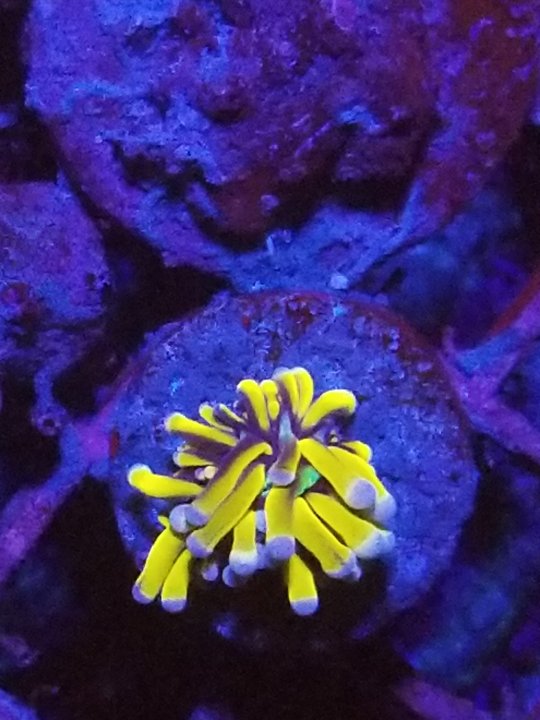 20220706_014826.jpg