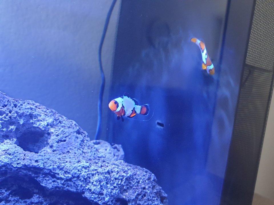 20220713_113000.jpg