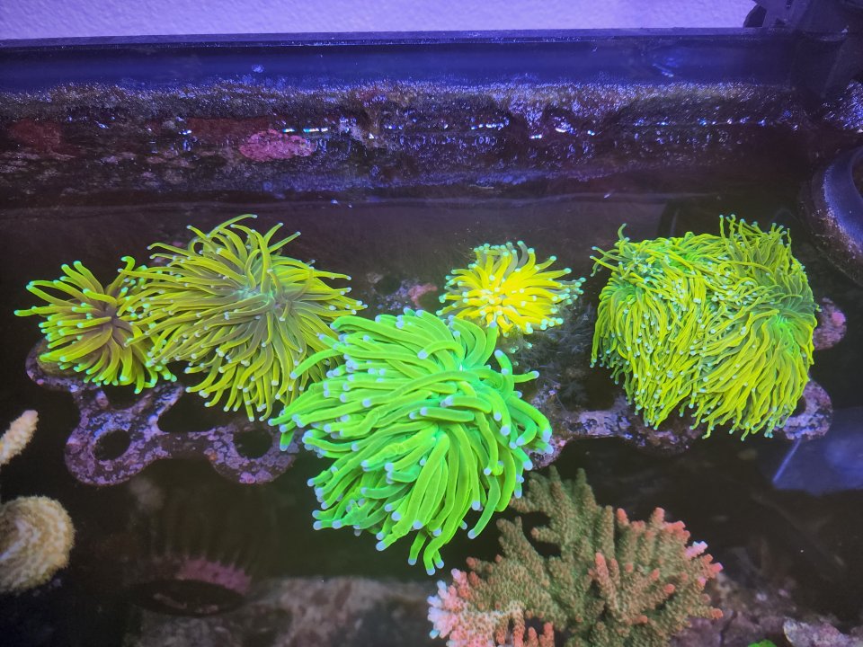20220715_181742.jpg
