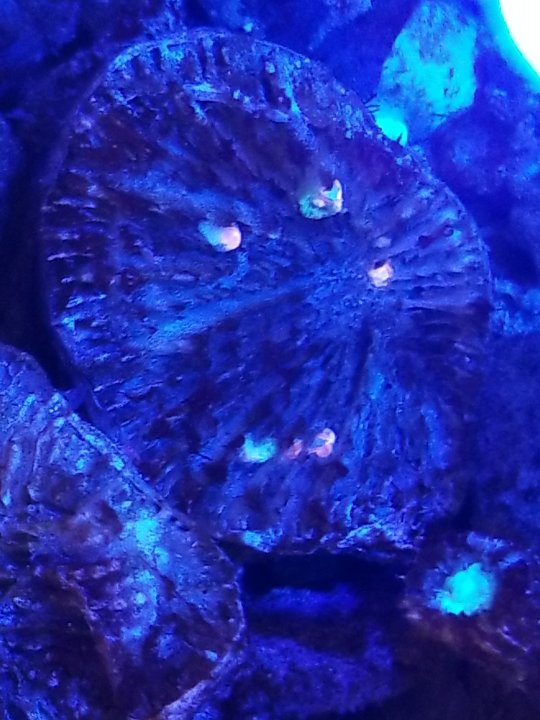 20220719_121239.jpg
