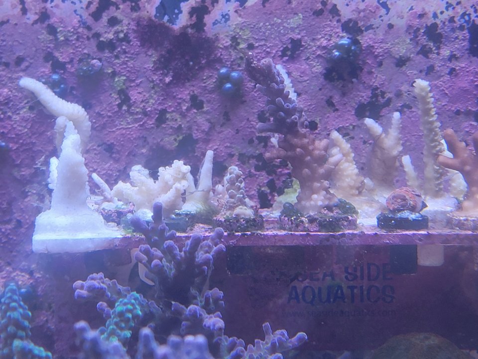20220724_215414.jpg