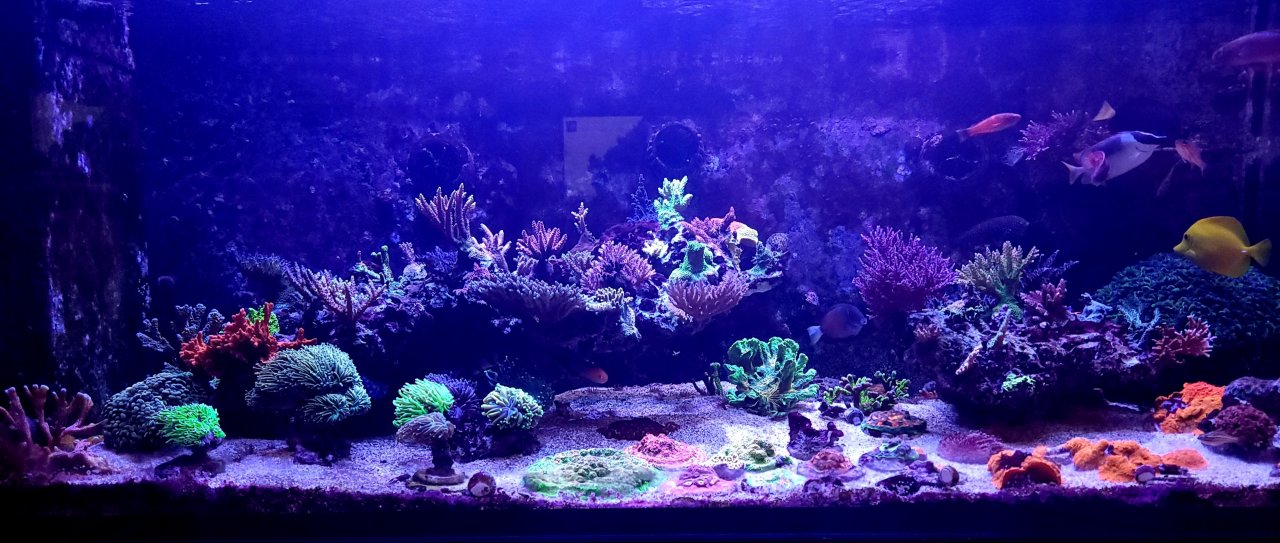 20220727_095126.jpg