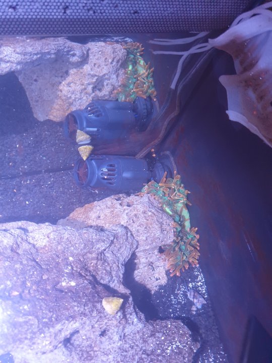 20220729_205032.jpg