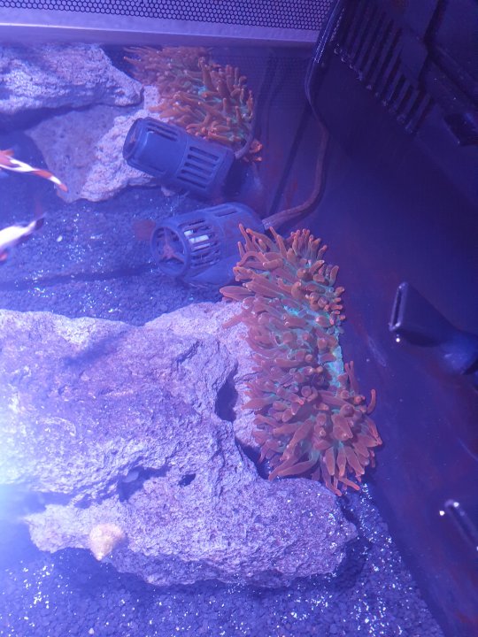 20220730_184212.jpg