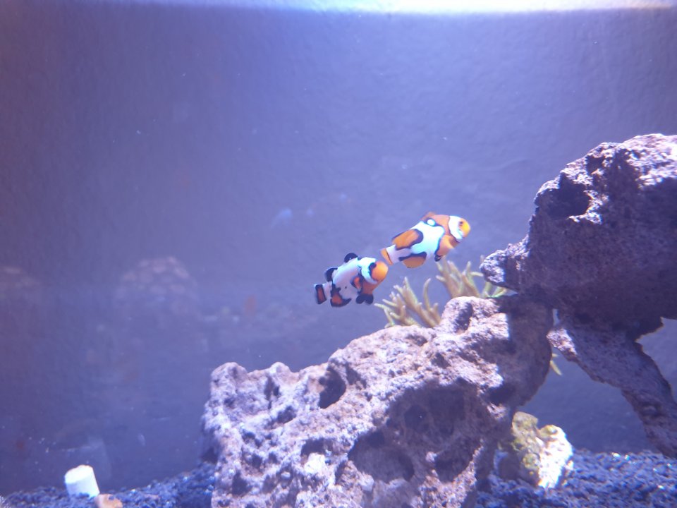 20220730_184743.jpg