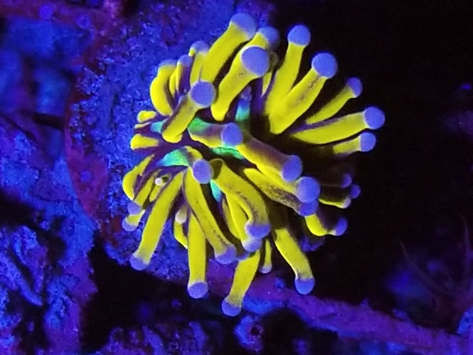 20220731_233920.jpg