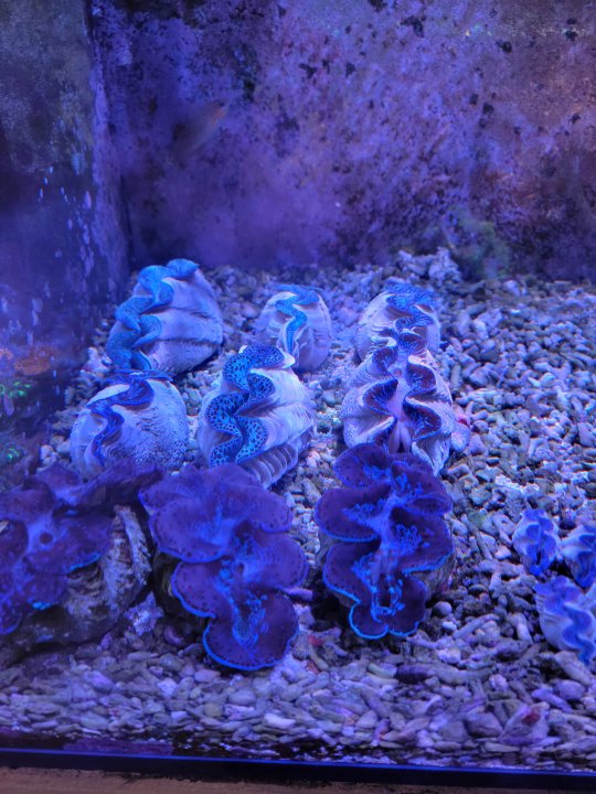 20220804_181609.jpg