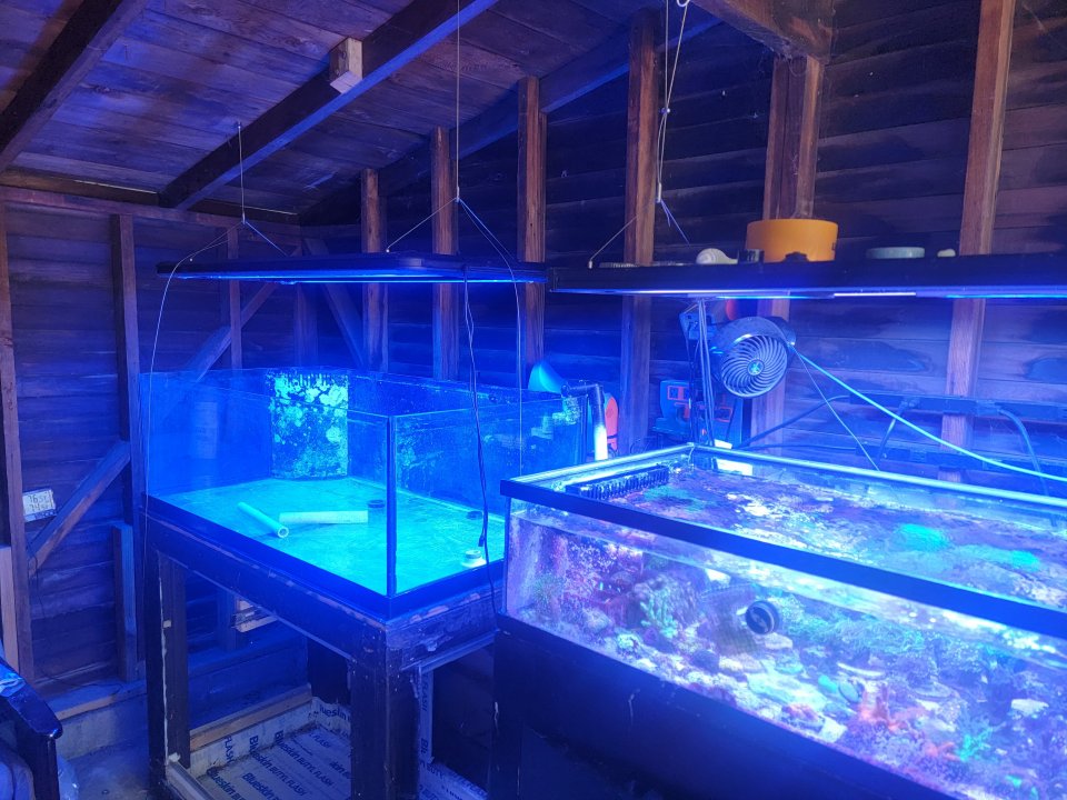 20220807_130122.jpg