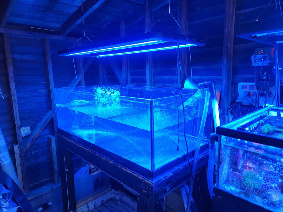 20220807_172315.jpg