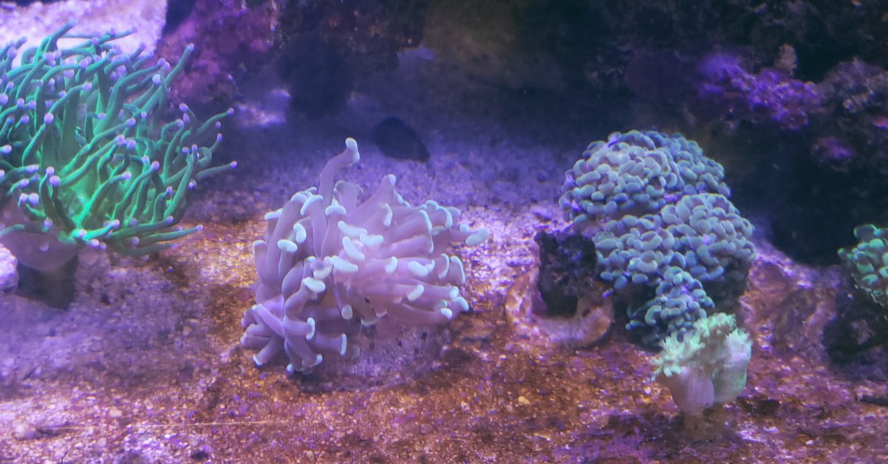 20220808_114217.jpg