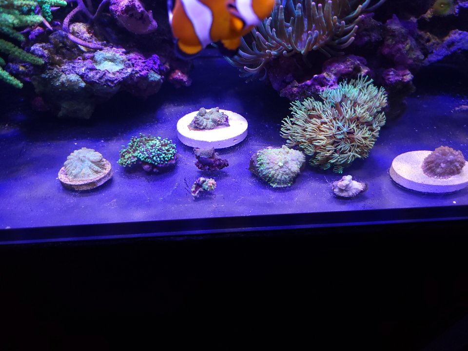 20220808_204718.jpg
