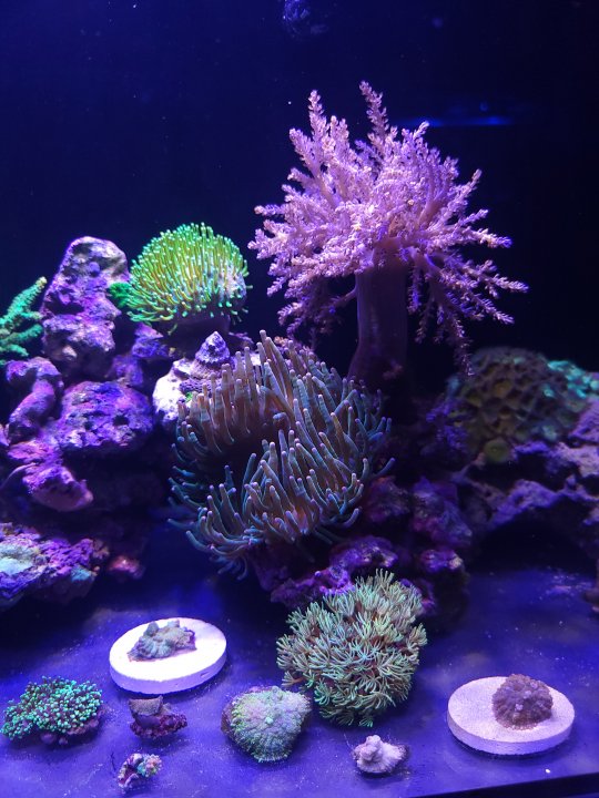 20220808_204729.jpg