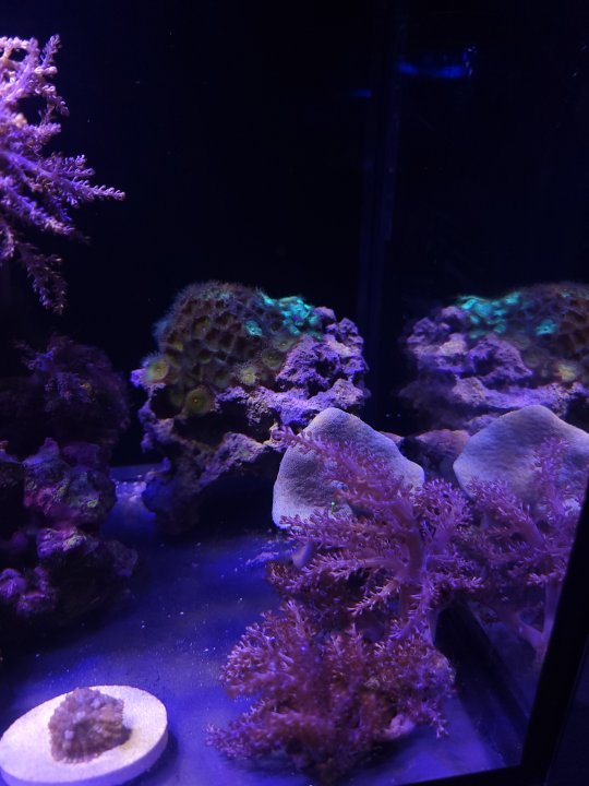 20220808_204734.jpg
