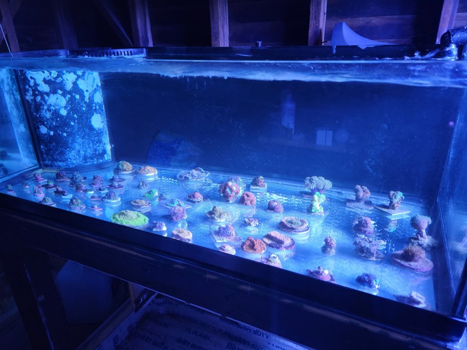 20220809_213532.jpg
